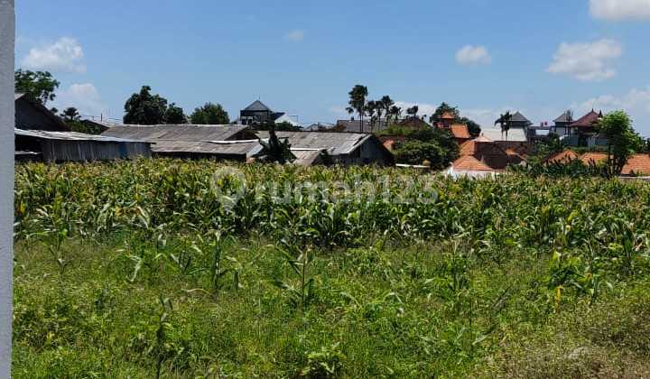 Strategic Land Leasehold In Mookiland Area Kedampan Strategic Land Leasehold In Mookiland Area Kedampan