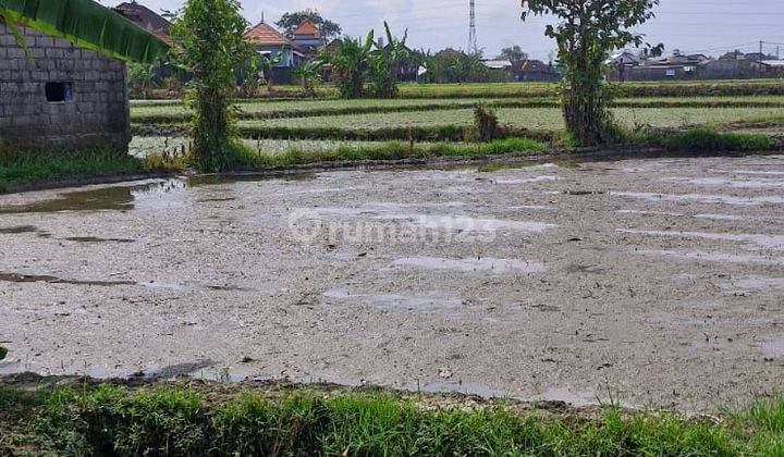 Dikontrakkan Tanah cocok untuk Gudang di Tangeb 1