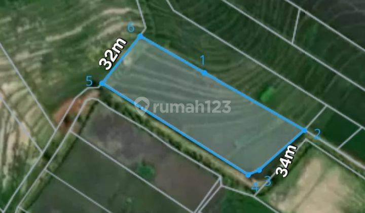 Beautiful Ricefield View Land Leasehold 27 are in Kelating Beach 2