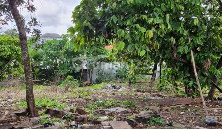 Land Leasehold in Padonan North Canggu