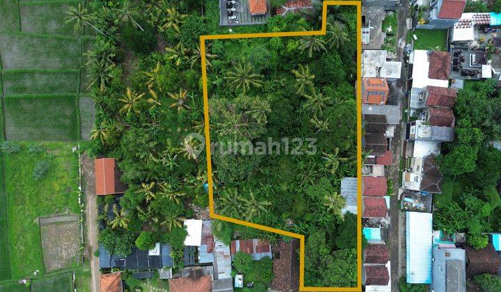 Land Leasehold Riverside And Ricefield View In Cepaka  1