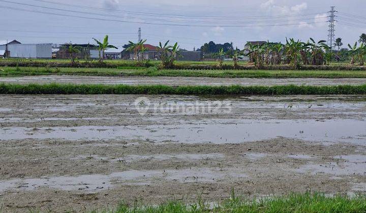 Dikontrakkan Tanah cocok untuk Gudang di Tangeb 2