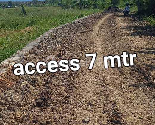 Sewa Tanah atau Sewa 18 di Pantai Kelating Tabanan