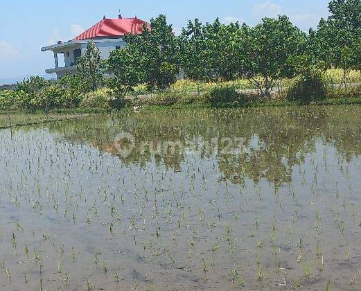 Riverside Land For Lease Or Rent 35 Are In Kedungu  2