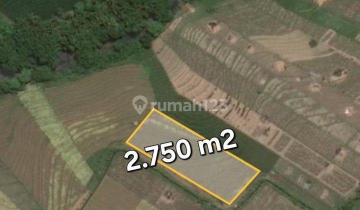 Beautiful Ricefield View Land Leasehold 27 are in Kelating Beach 1