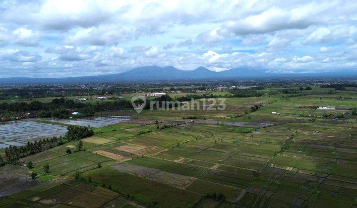 Land Leasehold Riverside And Ricefield View In Cepaka  2