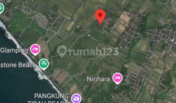 Tanah Sewa Sempit di Kedungu Tanah Sewa Sempit di Kedungu