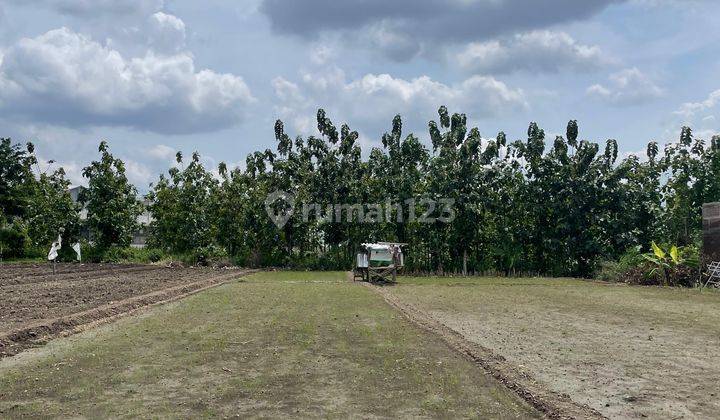 Tanah Pekarangan Siap Bangun Wonorejo Gondangrejo 2