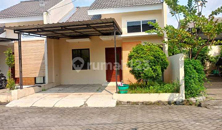 Strategic Minimalist Cluster House in Baki 2