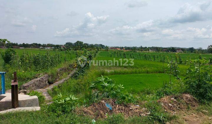 Tanah Zona Hijau Strategis Bangak Boyolali 2