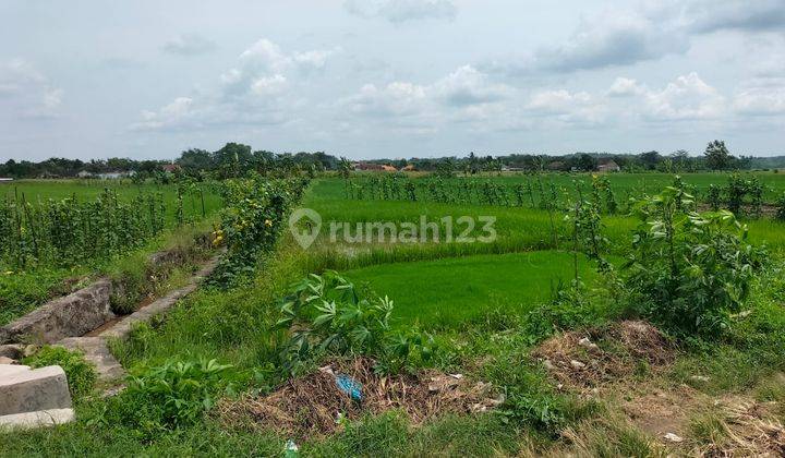 Tanah Zona Hijau Strategis Bangak Boyolali 2