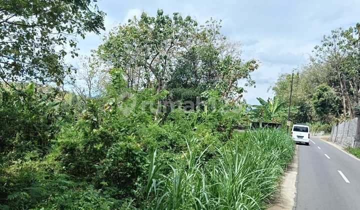 Strategic Dryland in Mojogedang, Karanganyar Strategic Dryland in Mojogedang, Karanganyar