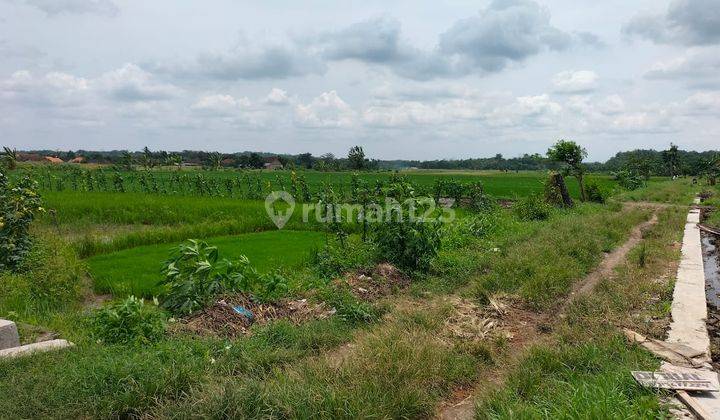 Tanah Zona Hijau Strategis Bangak Boyolali 2