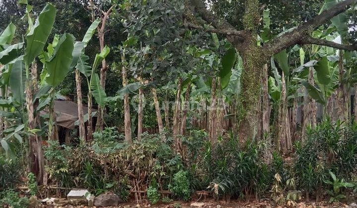 Tanah Matang SHM Bekas Kebun Bebas Banjir Dekat Akses Pintu Tol  2