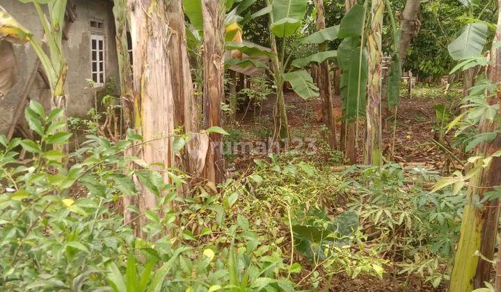 Tanah Matang SHM Bekas Kebun Bebas Banjir Dekat Akses Pintu Tol 2