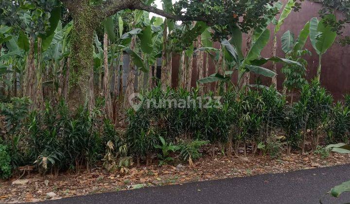 Tanah Matang SHM Bekas Kebun Bebas Banjir Dekat Akses Pintu Tol  1