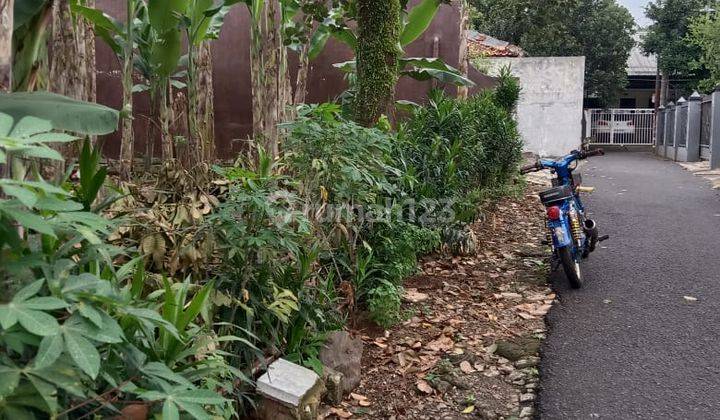 Tanah Matang SHM Bekas Kebun Bebas Banjir Dekat Akses Pintu Tol 2