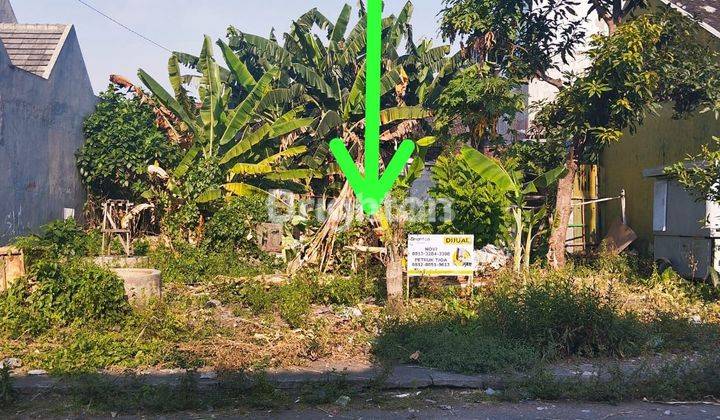 TANAH SIAP BANGUN 200Meter ke jl Kalpataru-2,5KM ke Polinema SOEKARNO HATTA KOTA MALANG 2