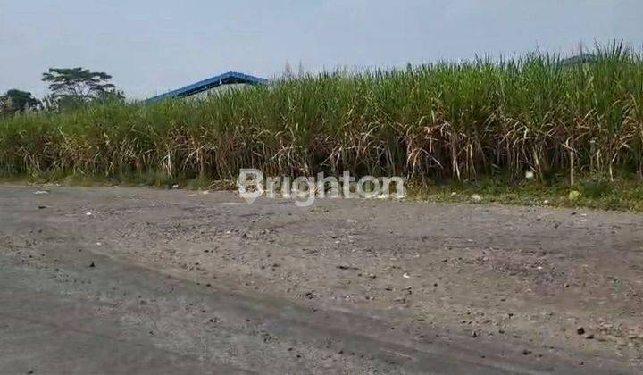 Tanah Strategis Dekat Pabrik Gatra Mapan - 5km Ke Pintu Tol Pakis Area Krajan - Pakisjajar - Pakis Malang 1