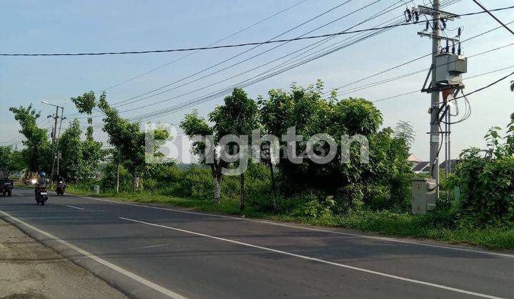 TANAH URUG POTENSIAL UNTUK INDUSTRI 0 JALAN RAYA BABAT-JOMBANG 2