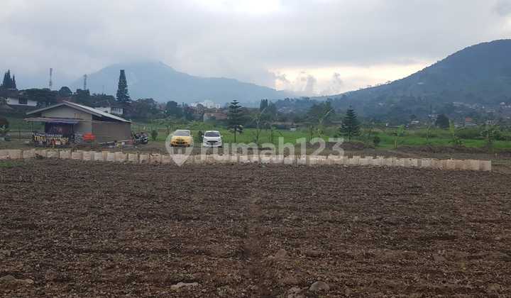 Dijual Cepat Tanah di Perumahan Bougenville Palasari Cipanas, Cianjur