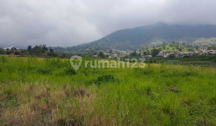 Dijual Cepat Tanah di Perumahan Bougenville Palasari Cipanas, Cianjur 4