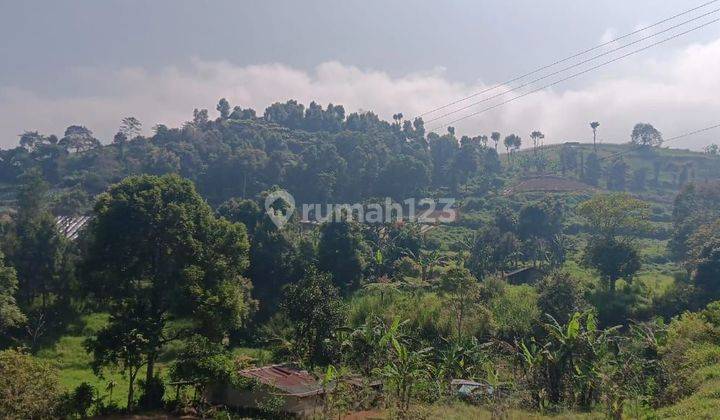 Dijual Tanah di Citameang Puncak Bogor 2