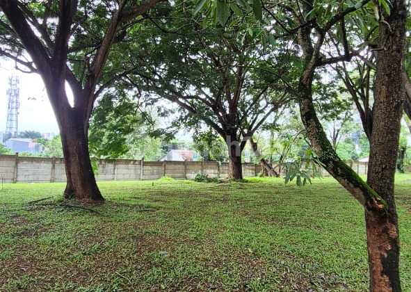 9.82Jt/Mtr Kavling Badan Foresta Bsd