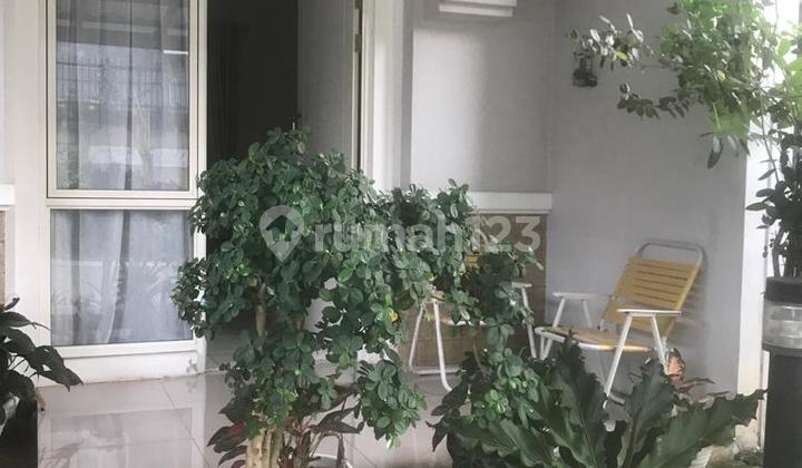 1.45m Sevilla Body Renovated House Cheap Price 6m Wide -yg- 1.45m Sevilla Body Renovated House Cheap Price 6m Wide -yg-