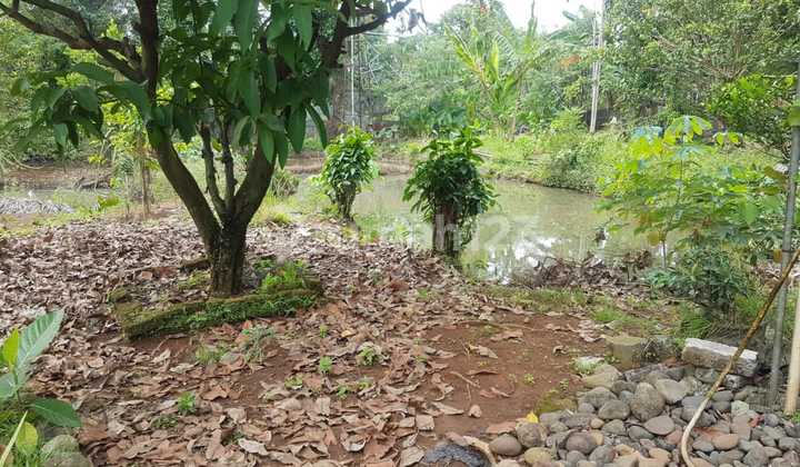 3.3m Land by South Ring Road, Muncul 3.3m Land by South Ring Road, Muncul