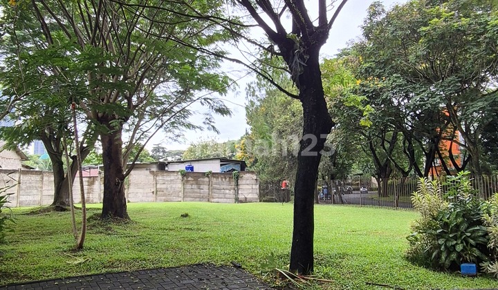 564M2 Corner Plot 564M2 Foresta with 3 Views