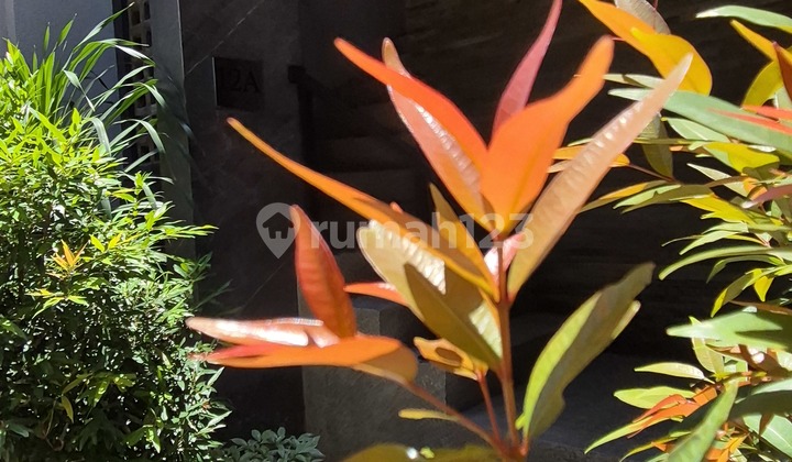 5.3Bio House Brand New Permata Hijau By Japan Developer 2