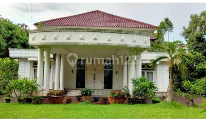 31m Cilandak Rumah Private Pool Renovated Lokasi Strategis