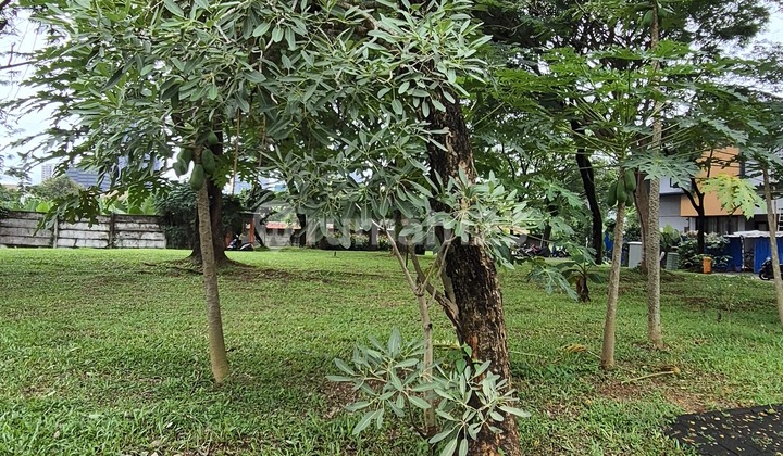 9.79M Lot Body Gets 2 Views Foresta 602M2 9.79M Lot Body Gets 2 Views Foresta 602M2