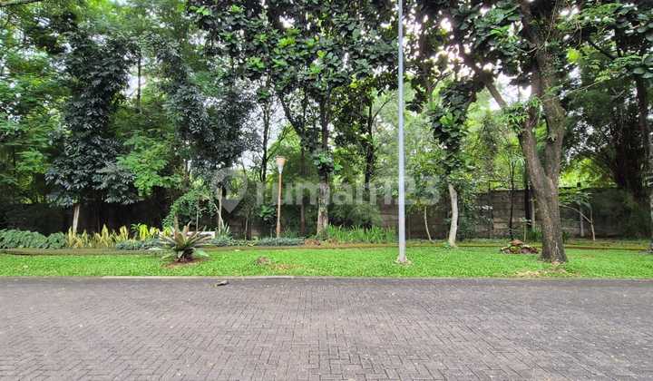 Kavling Khusus Kost 16jt Foresta Hoek Selatan-barat 177m² Kavling Khusus Kost 16jt Foresta Hoek Selatan-barat 177m²