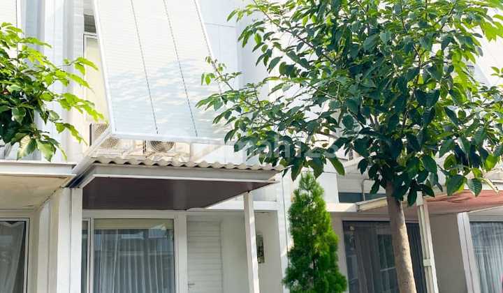 1.4m Tabebuya Renovated House North Furnished