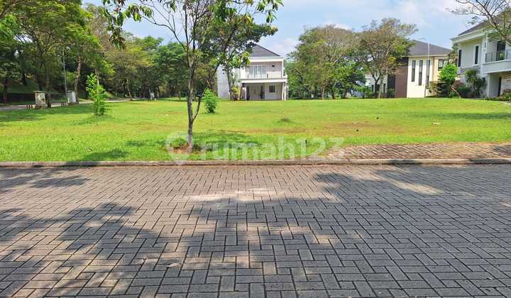 12m Foresta Plot Hoek Banci North - Northeast 398m²