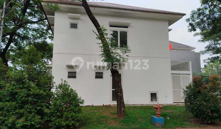 6.19m Foresta Semi Furnished Corner House Renovated -yg-