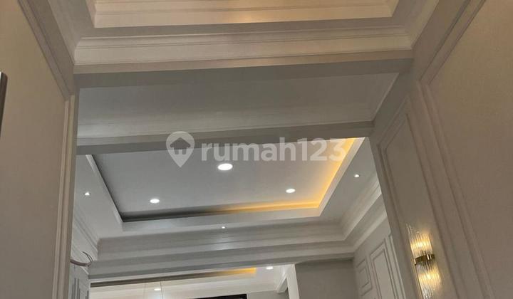 3M Griyaloka American Classic Brand New Facing South