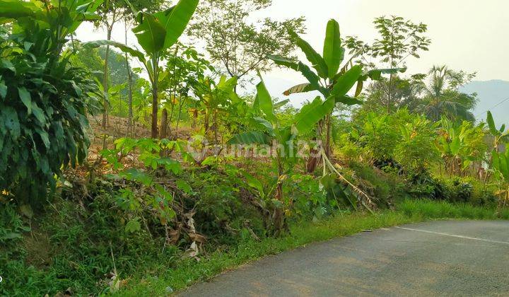 1,5Ha DI JUAL TANAH DI KECAMATAN SUKAJAYA-BOGOR BARAT 1