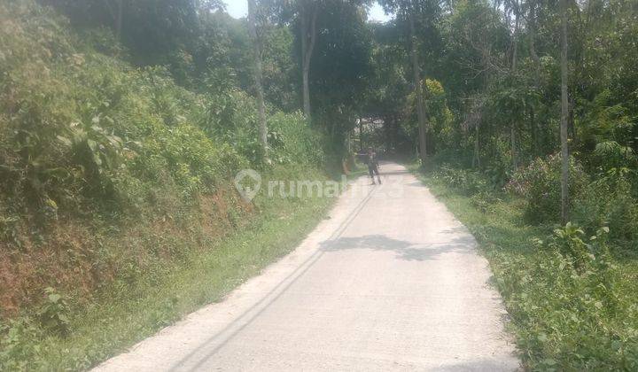 7000m² Tanah Di Titik Pusat Kab.Bogor-Barat Kec.Cigudeg 1