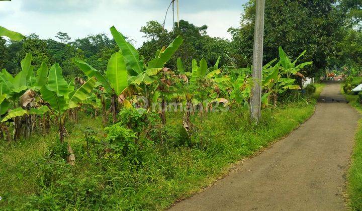 3000m².shm Tanah Di Pusat Pemekaran Cigudeg-Bogor Barat 2