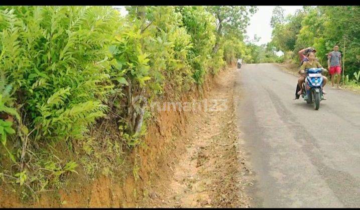 3,8Ha TANAH BISA PETERNAKAN DAN BERKEBUN KEC.JASINGA-BOGOR 1