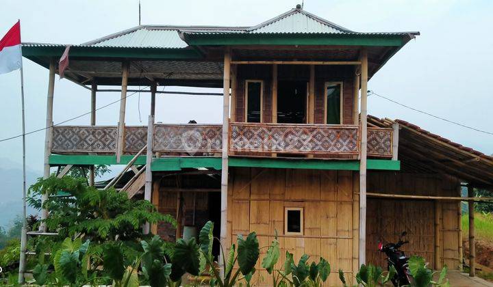 8000m² VILA KEBUN DURIAN DI KEC.NANGGUNG-BOGOR BARAT 1