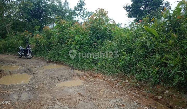 4,5Ha Tanah Di Kec.Jasinga-Bogor Barat 2