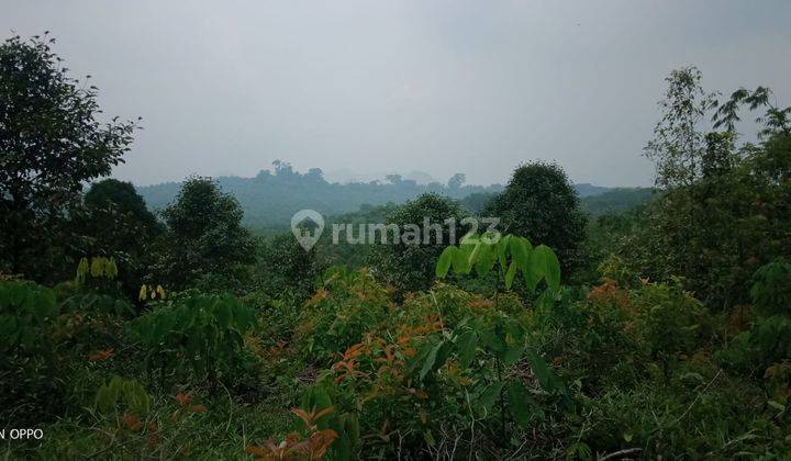 4,5Ha Tanah Di Kec.Jasinga-Bogor Barat 3