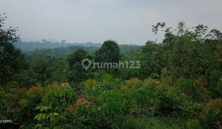 4,5Ha Tanah Di Kec.Jasinga-Bogor Barat 5