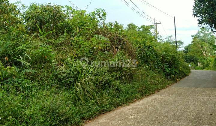 3779m² Tanah Di Kec.Jasinga-Bogor Barat 5