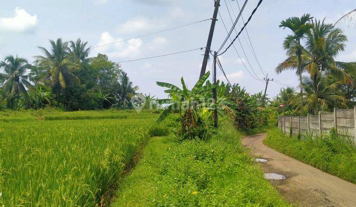 2800m² Tanah Sawah Di Kec.Jasinga-Bogor Barat 3