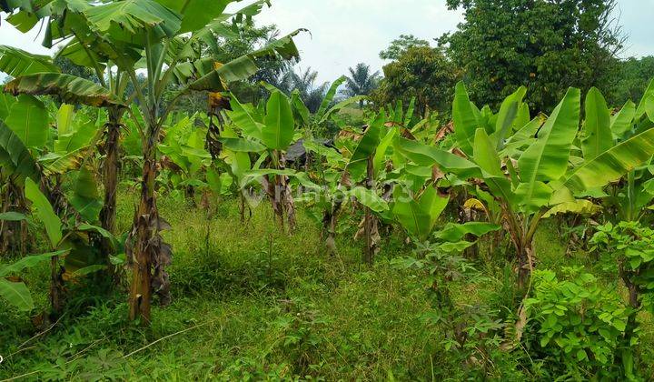 4000m².SHM Tanah Di Jual Di Kec.Cigudeg Bogor Barat 4